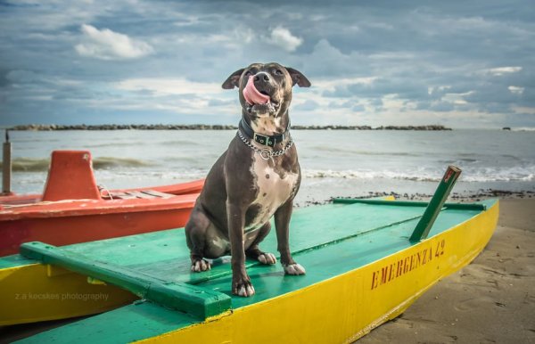 Rimini, Olaszország