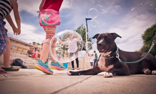 Zadar, Horvátország