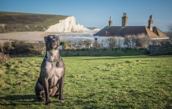 Seven Sisters Country Park, Anglia